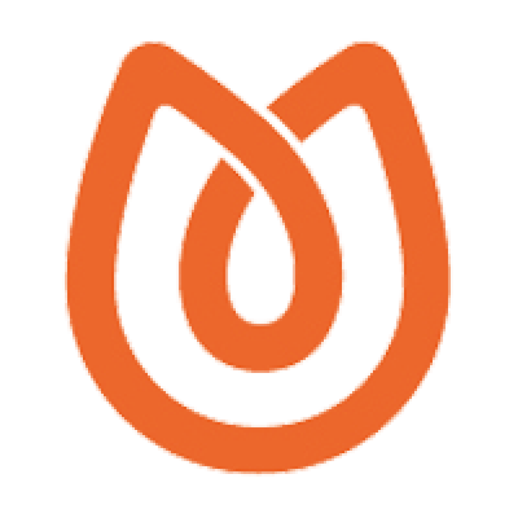 Are WoodBurning Stoves Being Banned in 2024?